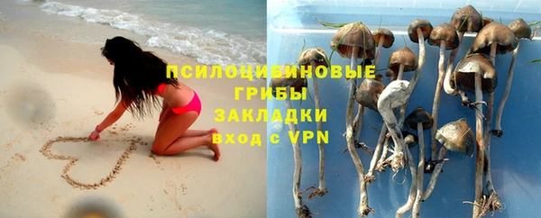 герыч Бородино