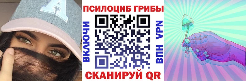 Псилоцибиновые грибы мицелий  kraken как войти  Жуков 